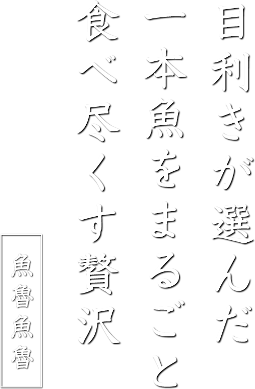 目利きが選んだ、一本魚を
まるごと食べ尽くす贅沢　魚魯魚魯